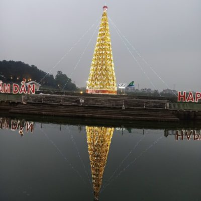 chuyen san xuat cay thong noel khong lo